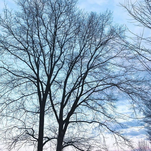 lttye22